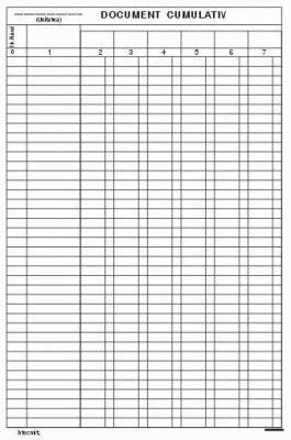 Document cumulativ vertical offset A4, 55 g/mp, 100 file NI
