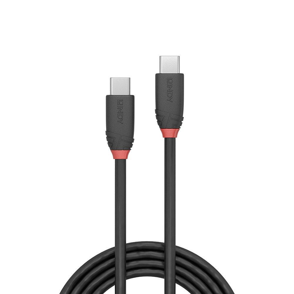 Cablu Lindy 1m USB 3.2 Type C to C 200gp - 1 | YEO