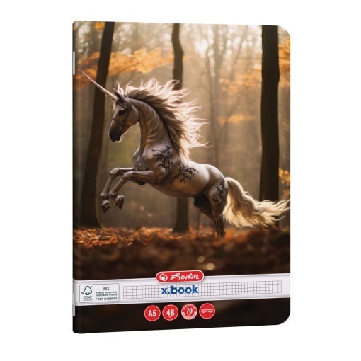 Caiet Herlitz motiv Unicorn, A5, 48 file, pătrățele - 1 | YEO