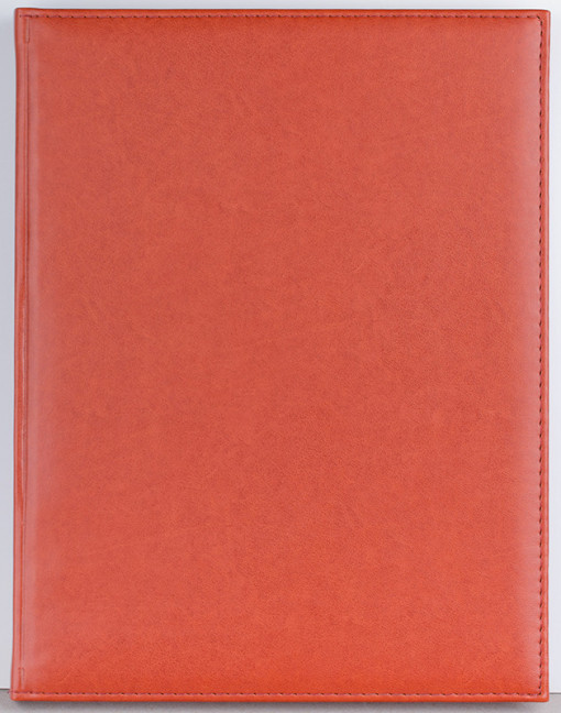 Agenda Activ 232 pagini Ego - 3 | YEO