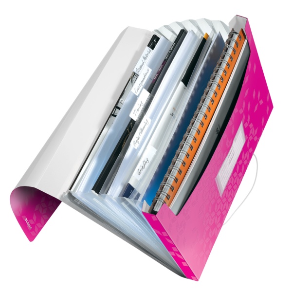 Mapa plastic cu 6 compartimente LEITZ WOW A4 - 2 | YEO