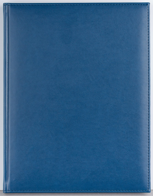 Agenda Activ 232 pagini Ego - 4 | YEO