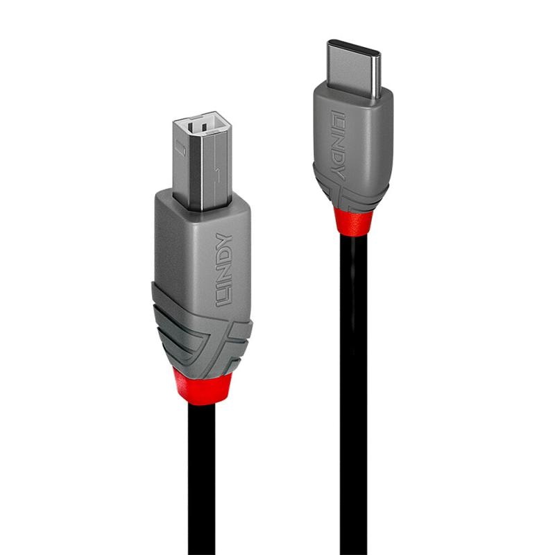 Cablu Lindy 2m USB 2.0 Tip A la Tip B - 2 | YEO