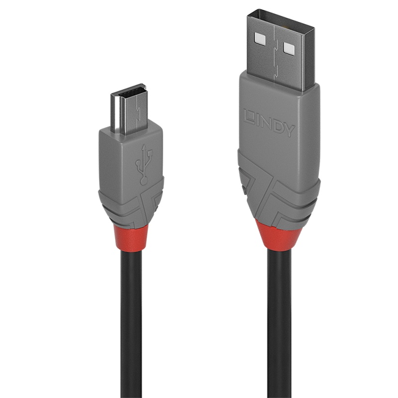 Cablu Lindy 5m USB 2.0 Type A to Mini-B - 2 | YEO
