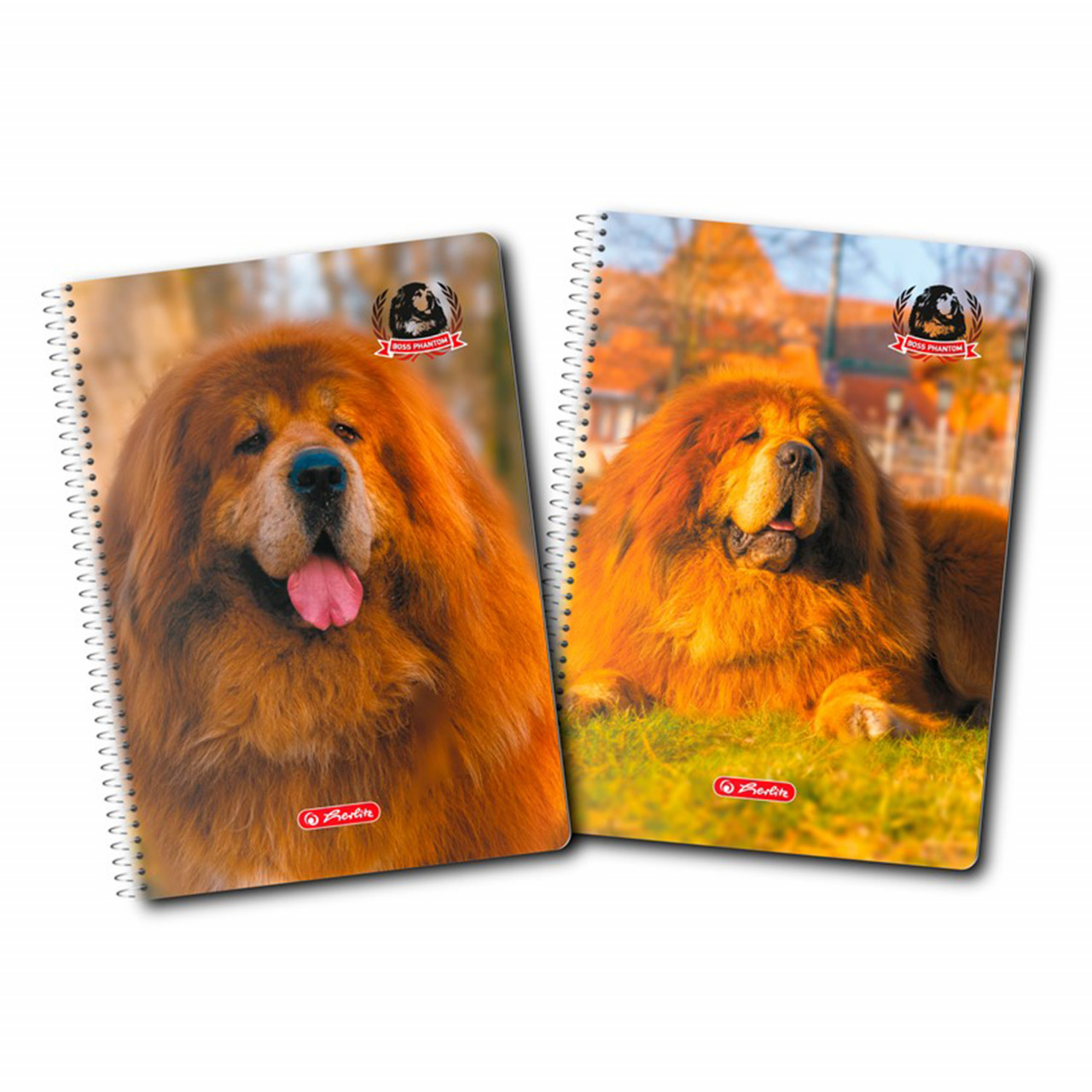 CAIET A4 70F SPIRA PATRATELE BOSS PHANTOM CAIET A4 70F SPIRA PATRATELE BOSS PHANTOM