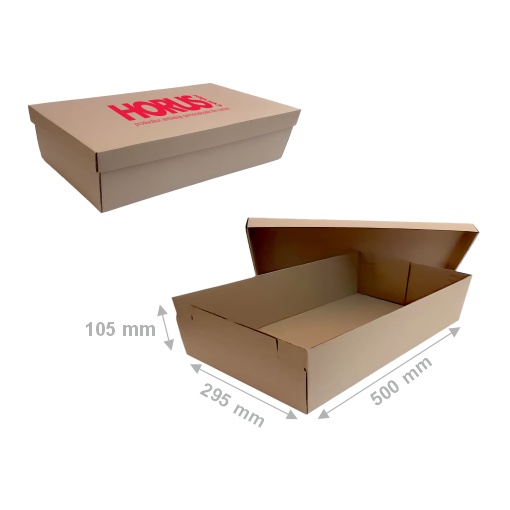 Cutie carton pentru pantofi, 500x295x105 mm
