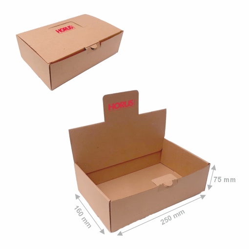 Cutie carton prezentare, 250x160x75 mm