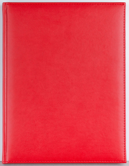 Agenda Activ 232 pagini Ego - 5 | YEO