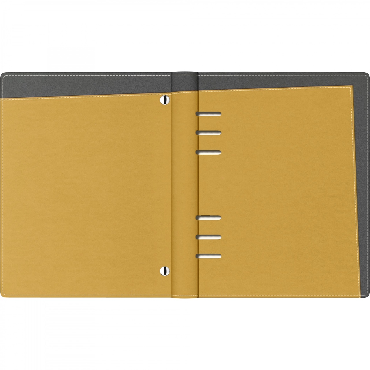Agendă nedatată Precision Capitol Gold , A5, 190 pagini, 80 g/mp, 6 inele - 3 | YEO