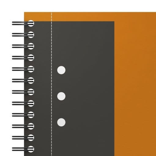 Agendă Oxford Internațional Active Book, A5+ 80 file, hârtie Optik 90g/mp, spiră dublă, scribzee, dictando, culoare portocaliu - 2 | YEO