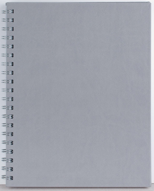 Agenda Premier 208 pagini Ego - 2 | YEO