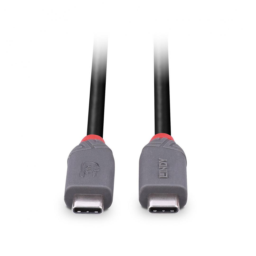 Cablu Lindy 0.8m USB4 Type C 40Gbps Anth - 3 | YEO