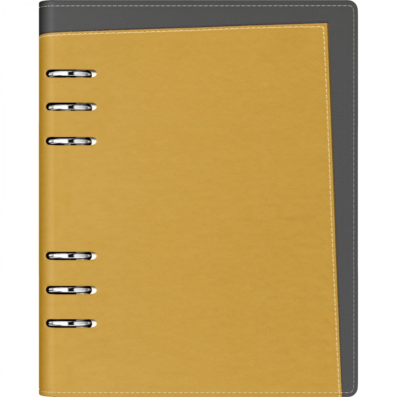 Agendă nedatată Precision Capitol Gold , A5, 190 pagini, 80 g/mp, 6 inele