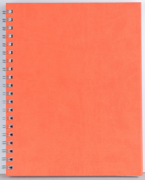 Agenda Premier 208 pagini Ego - 3 | YEO