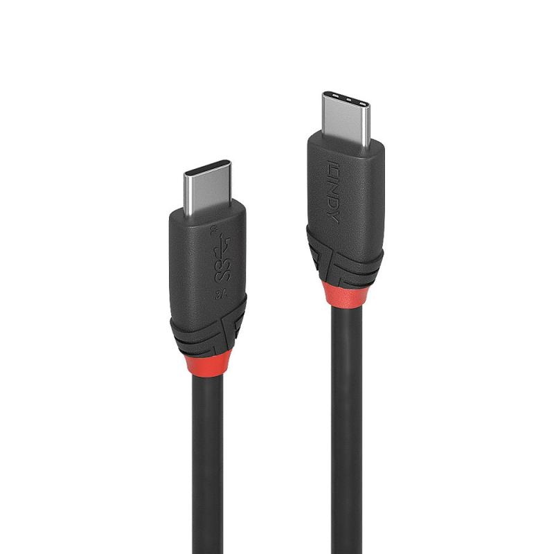 Cablu Lindy 1m USB 3.2 Type C to C 200gp - 2 | YEO