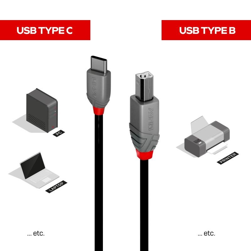 Cablu Lindy 2m USB 2.0 Tip A la Tip B - 4 | YEO
