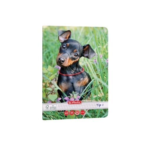 Caiet Herlitz motiv Cats Dogs, A5, 36 file, hârtie 80g/Mp Fsc Mix, Tip I - 1 | YEO