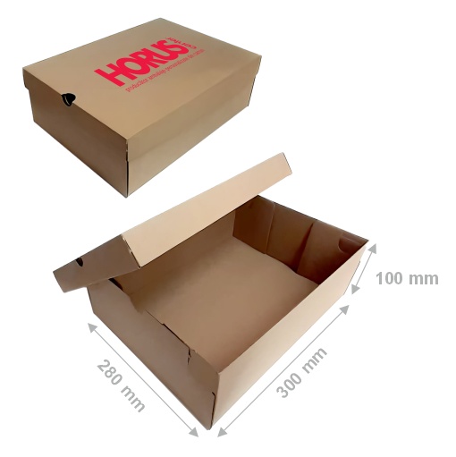 Cutie carton pentru pantofi, 300x280x100 mm