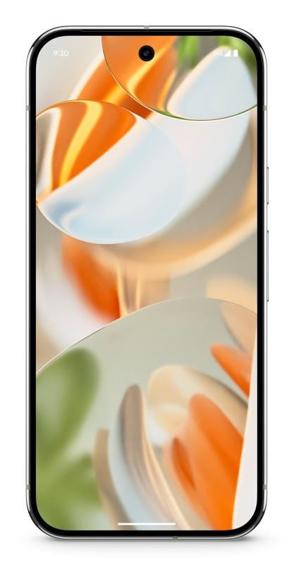 Google Pixel 9PRO 5G 16/128DS Porcelain - 1 | YEO
