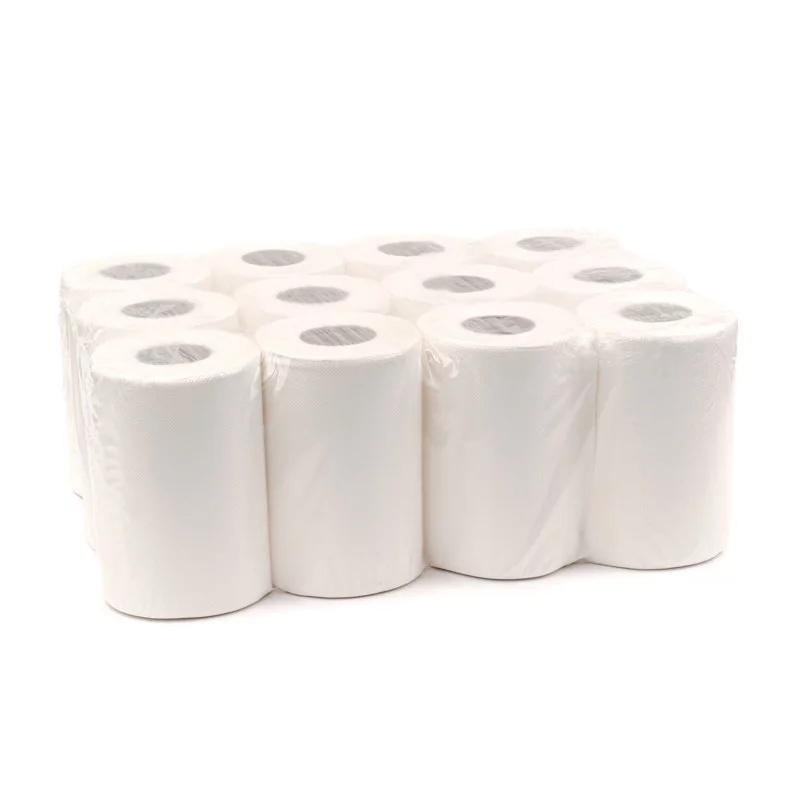 Prosop hârtie, rolă, 40m, 2 straturi, ProLine Mini Hygiene
