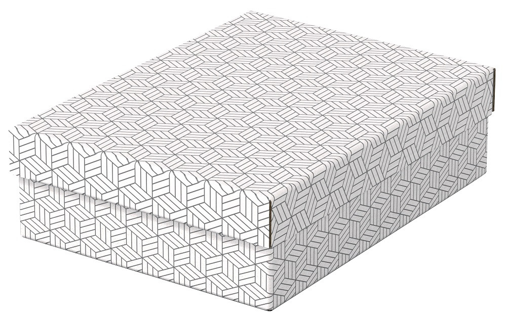 Set 3 cutii depozitare carton reciclat Esselte Recycled cu capac 36 x 26 x 10 cm alb