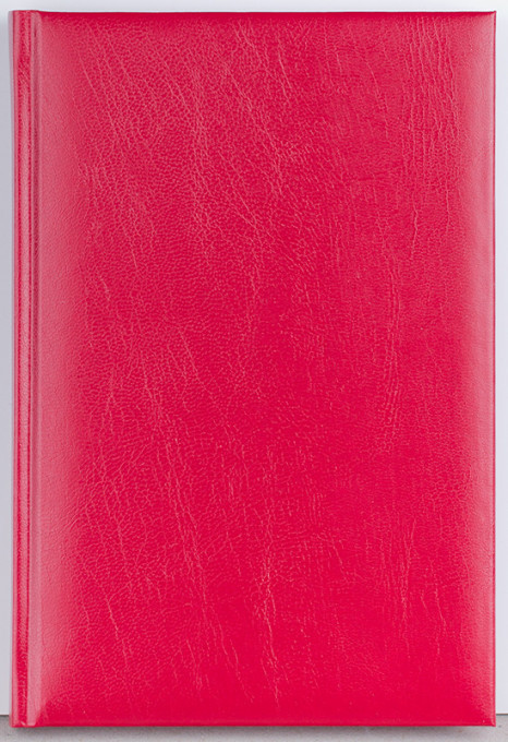 Agenda Domino 192 pagini Ego