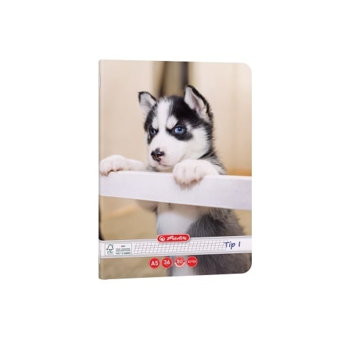 Caiet Herlitz motiv Cats Dogs, A5, 36 file, hârtie 80g/Mp Fsc Mix, Tip I - 2 | YEO