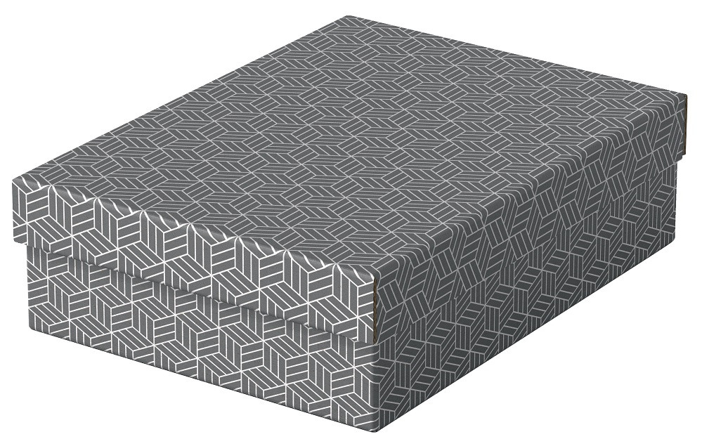 Set 3 cutii depozitare carton reciclat Esselte Recycled cu capac 36 x 26 x 10 cm gri