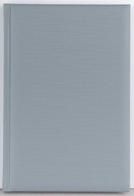 Agenda Domino 192 pagini Ego - 1 | YEO