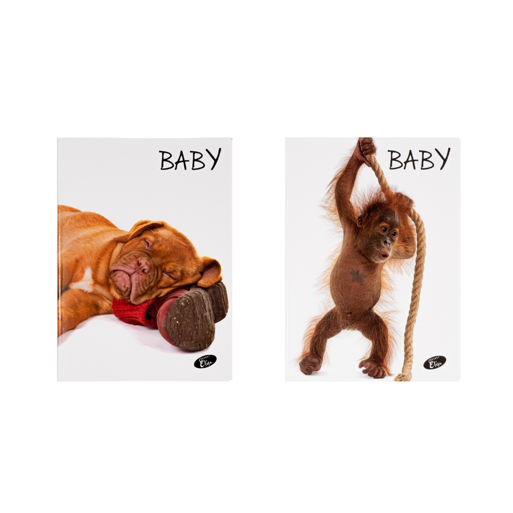 Caiet Design Baby pets, A5, 36 file, hârtie 80gr./mp, copertă carton 300gsm, TIP1
