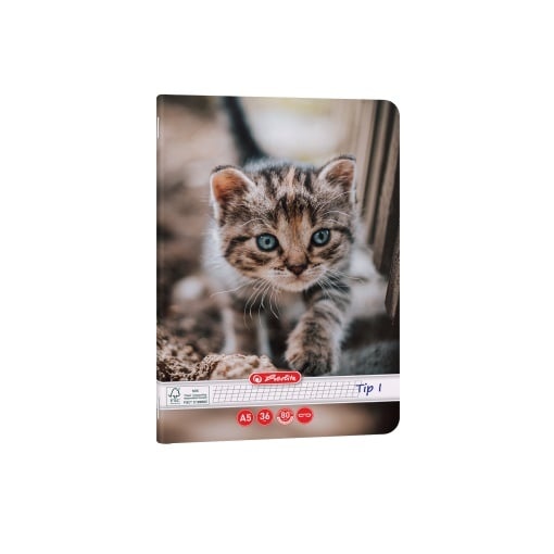 Caiet Herlitz motiv Cats Dogs, A5, 36 file, hârtie 80g/Mp Fsc Mix, Tip I - 3 | YEO