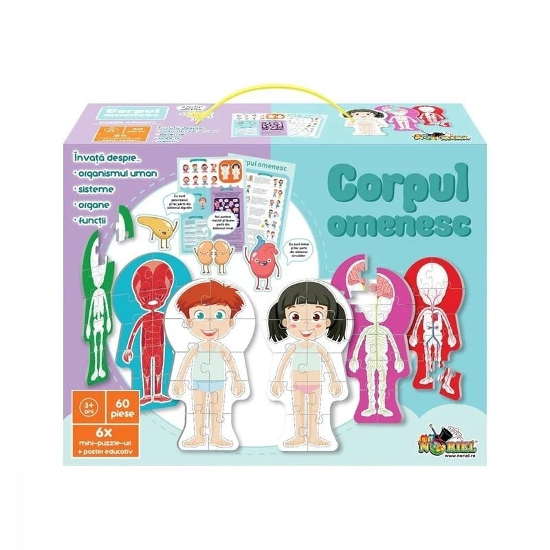 Puzzle - Corpul Omenesc, Noriel