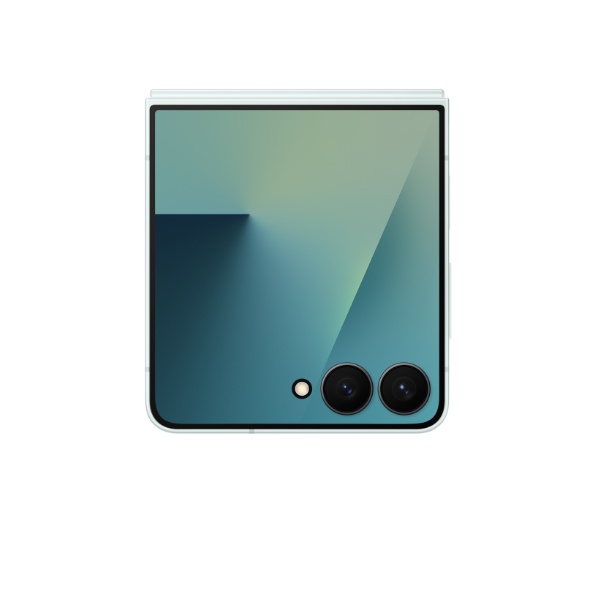 Samsung F766B 5G 6.9