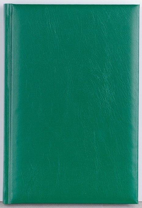 Agenda Domino 192 pagini Ego - 2 | YEO