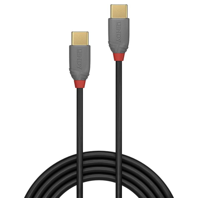 Cablu Lindy 2m USB 2.0 Type-C, Anthra - 3 | YEO