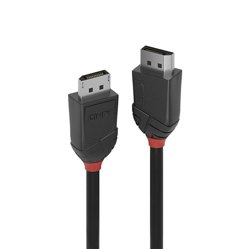 Cablu Lindy DisplayPort 1.2, 2m, negru - 2 | YEO