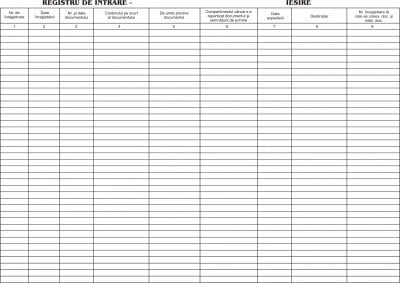 Registru intrare/iesire offset A4, 55 g/mp, 100 file RQ