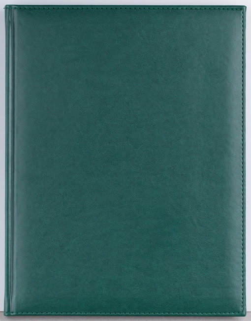 Agenda Activ 232 pagini Ego