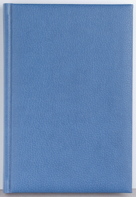 Agenda Basic 360 pagini BR Ego - 5 | YEO