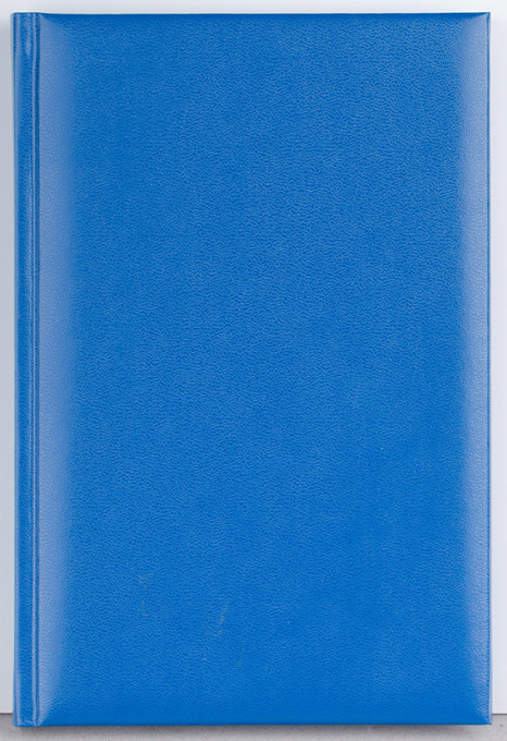 Agenda Domino 192 pagini Ego - 3 | YEO