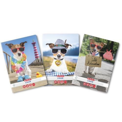 Caiet A5 48f Patratele Cool Dog Caiet A5 48f Patratele Cool Dog