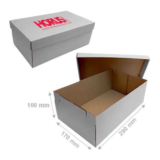 Cutie carton pentru pantofi, 290x170x100 mm