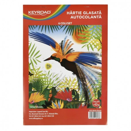 Hartie glasata Colorarte, 210x290, autocolanta, 170g, 6 culori/set