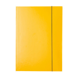 Mapa carton cu elastic Esselte Economy A4 150 coli - 4 | YEO