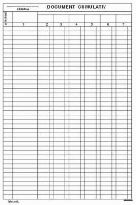 Document cumulativ vertical offset A4, 55 g/mp, 100 file NI