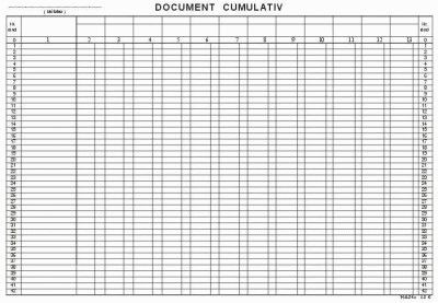 Document cumulativ, offset, A3, 55 g/mp, 50 file