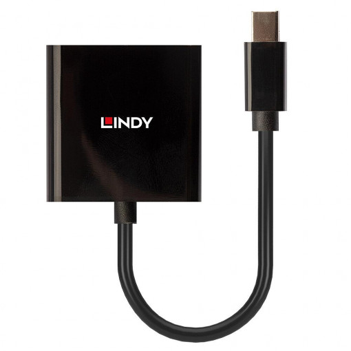 Lindy Mini DisplayPort to DVI