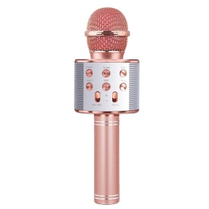 Microfon karaoke cu baterii4