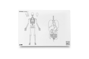 Planșă Funny Mat – Corpul uman + cadou set instrumente de colorat2