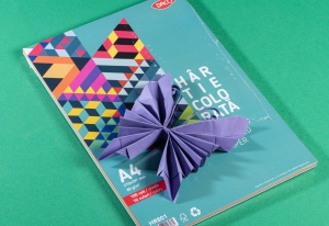 Hartie colorata A4 80 grame ,100 coli/top, 10 culori Daco - Img 2